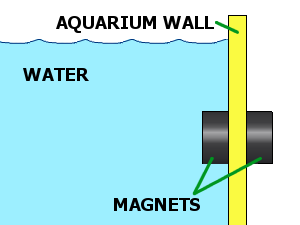 Magnets attracting through aquarium glass walls