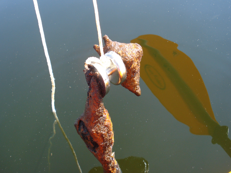 Yo-yo shaped fishing magnet catching hidden treasure from a lake