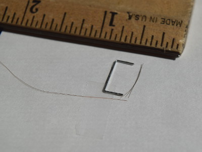 Hairs and a staple