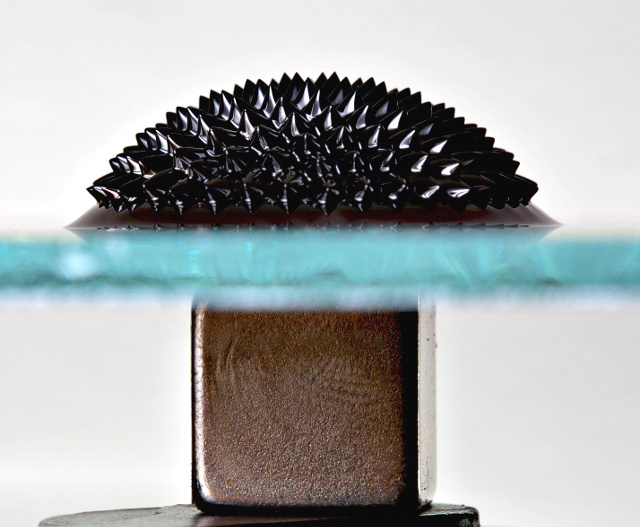 Magnetic field viewable with ferrofluid