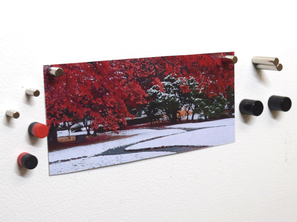 Multi colored pushpin thumbtack magnets holding picture on fridge